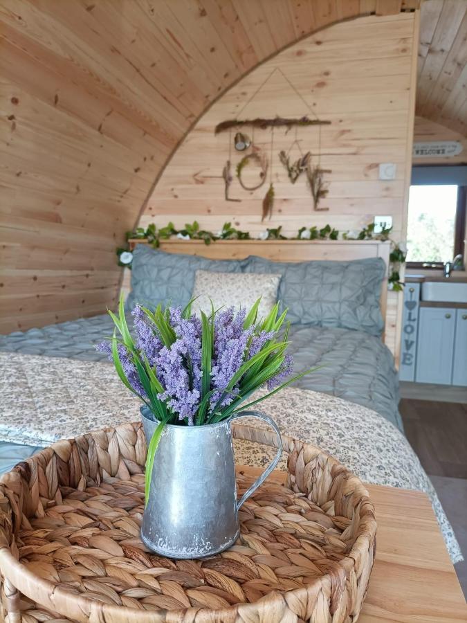 Vila Sea Crest Pods Rossnowlagh Exteriér fotografie